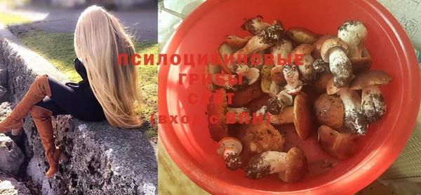 соль курить ск Козловка
