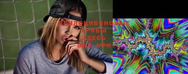 стаф Мамадыш